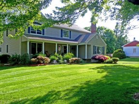 Как подобрать траву для лужайки у дома